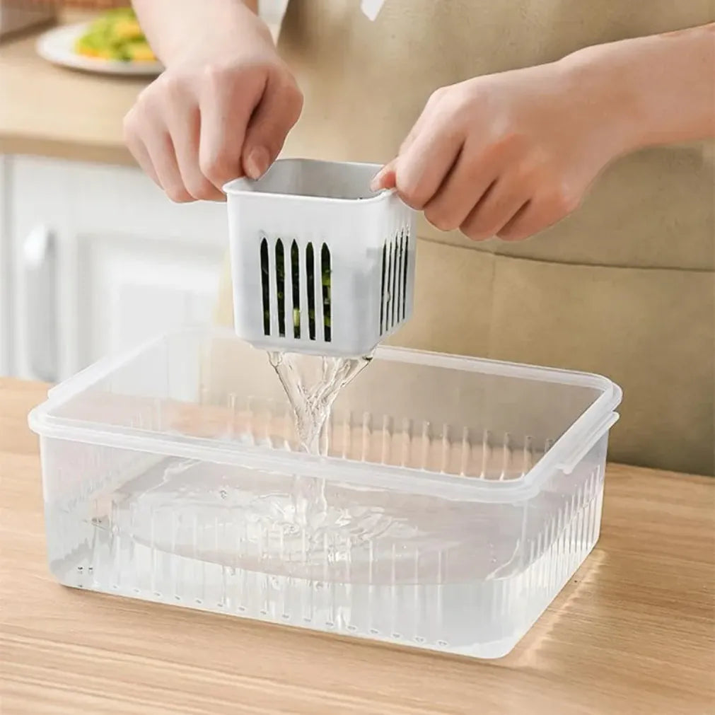 Essentials House Refrigerator Food Drain Fresh-keeping Box Ginger Garlic Onion Pepper Storage Box Fruit Vegetable Drain